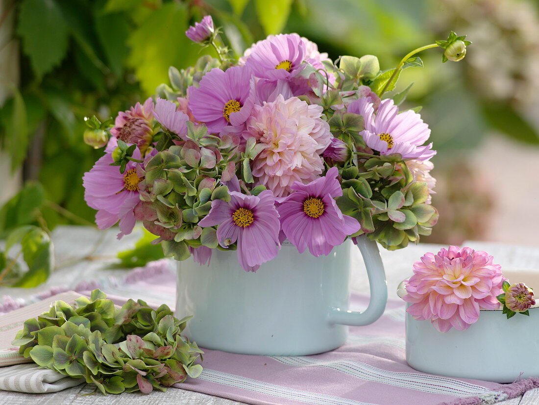 Green-pink bouquet of Cosmos (Jewel Basket), Dahlia