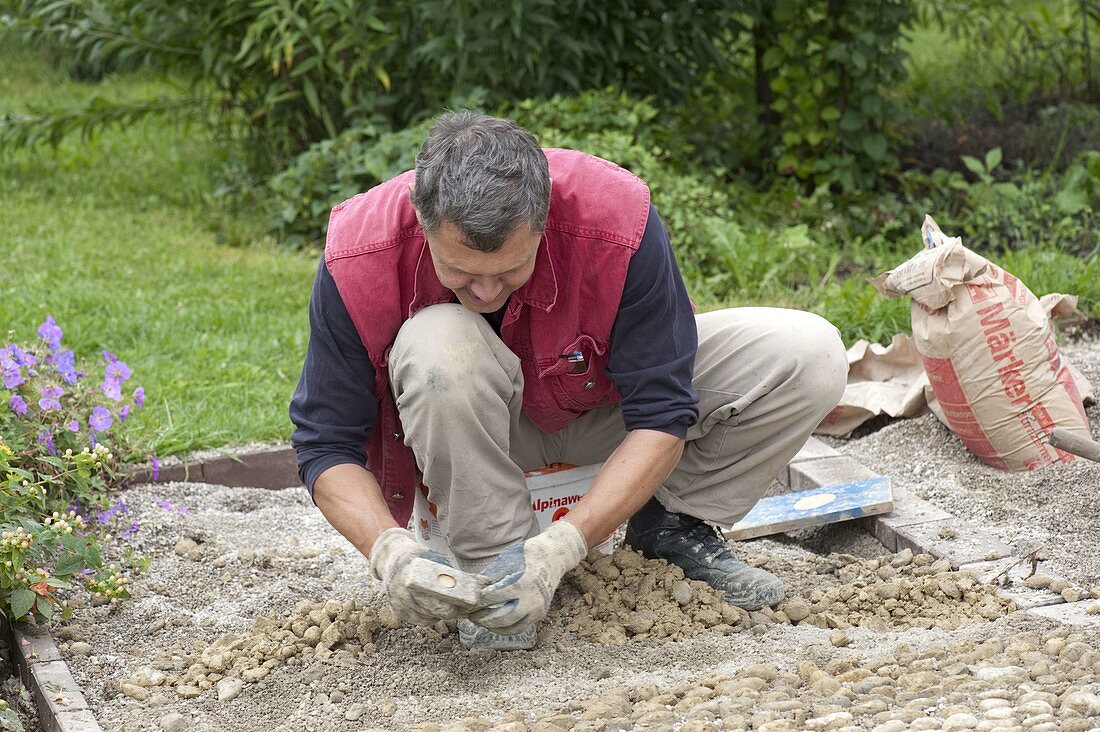 Man lays paving of pebbles (medium grain size) in gravel-cement