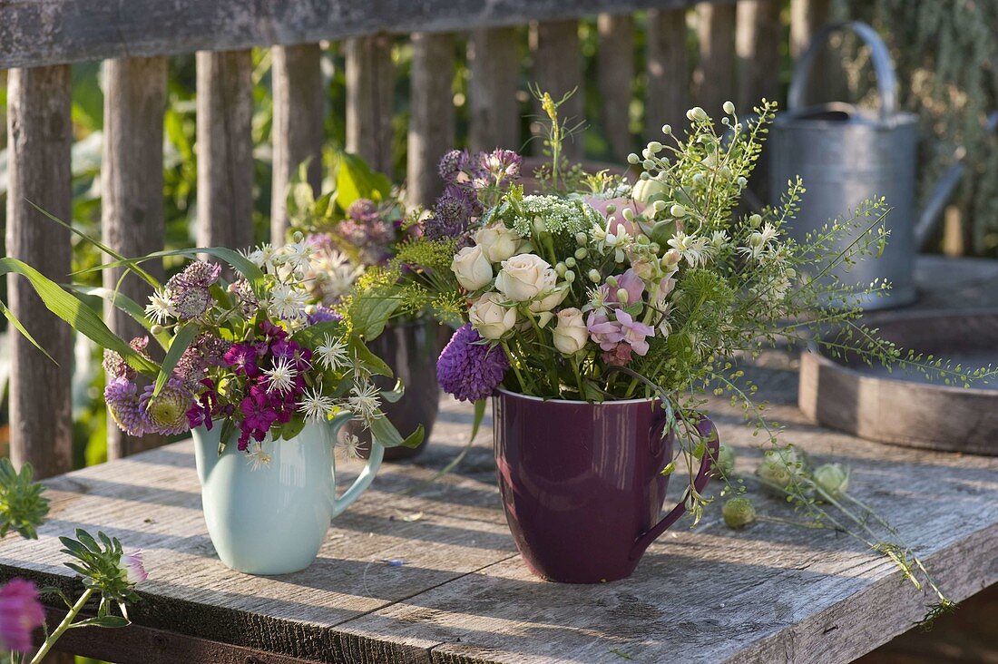 Pink (Roses), Astrantia (Starthistle), Clematis (Clematis), Thlaspi