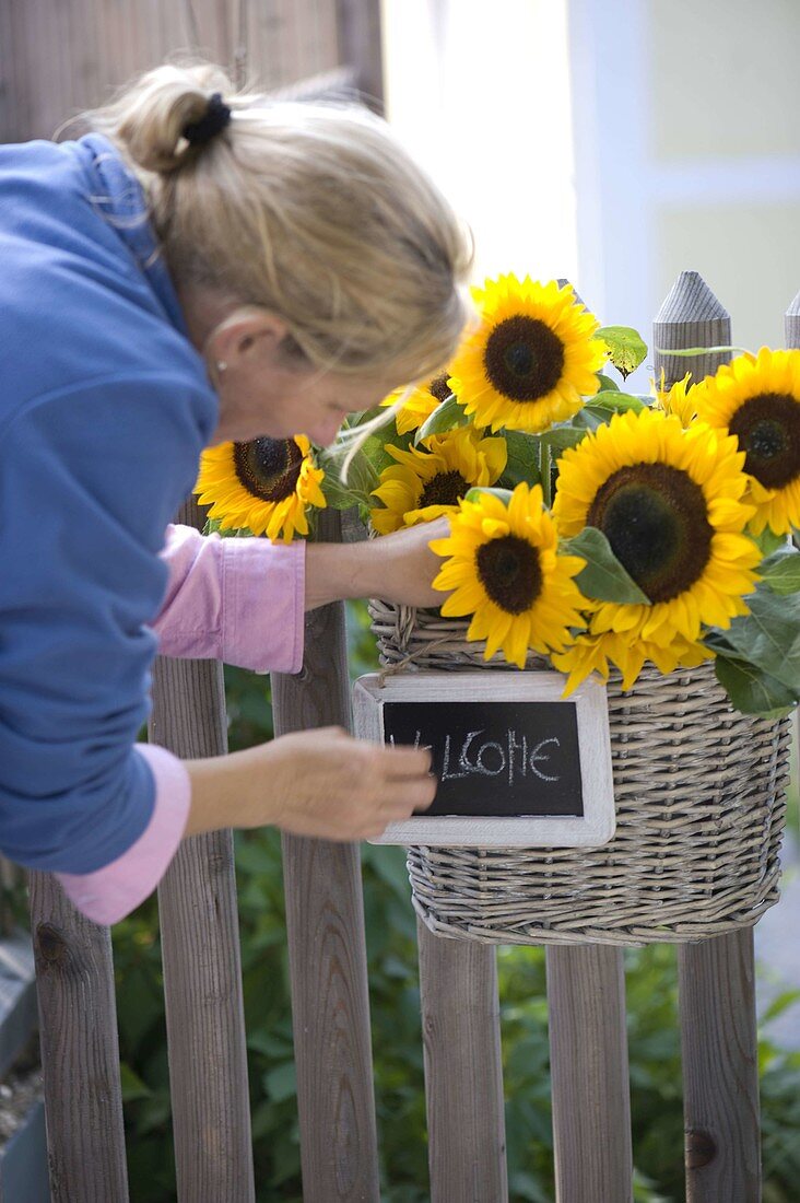 Sonnenblumen als Willkommensgruß am Gartentor