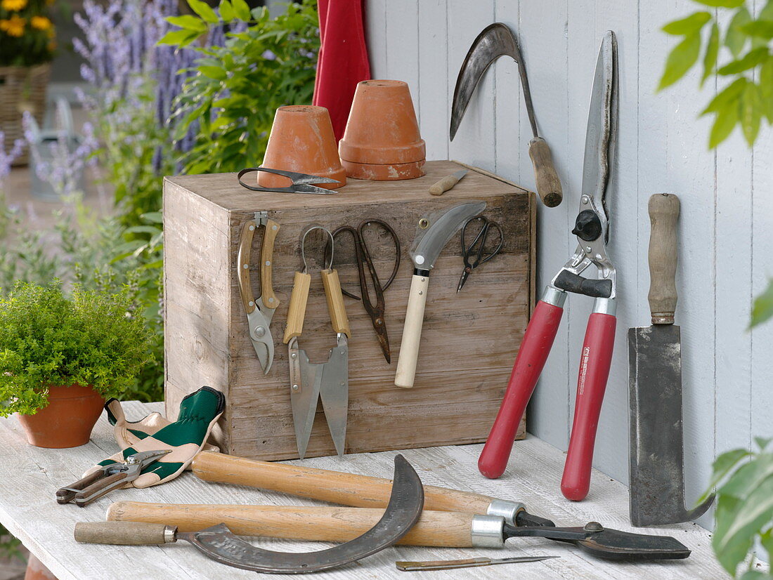 Still life of cutting tools