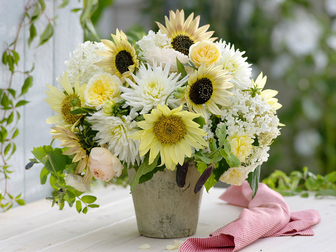 White-yellow bouquet from Helianthus annuus (sunflower), Dahlia