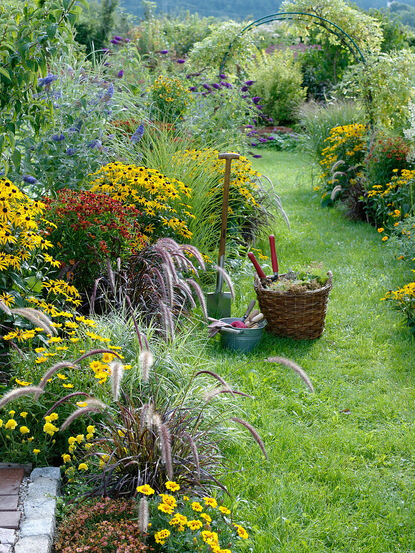 Rudbeckia fulgida 'Goldsturm', Helenium 'Moerheim Beauty'