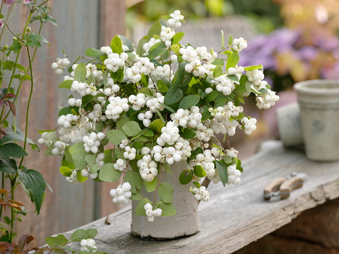 Symphoricarpos albus var. Laevigatus (snow berries) bouquet