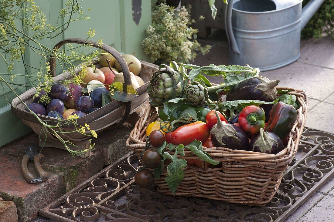 Baskets with freshly harvested artichokes (Cynara), aubergines