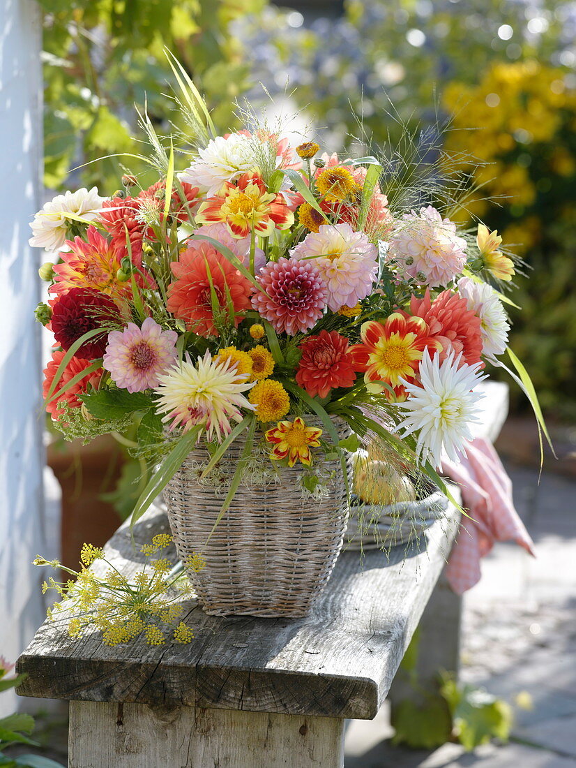 Bunt gemischter Strauß aus verschiedenen Dahlia (Dahlien)