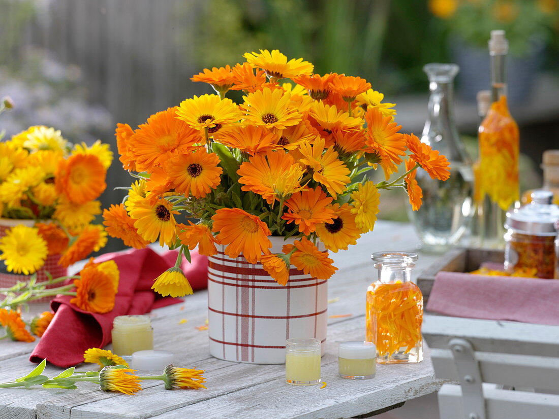 Bouquet of calendula (marigolds), petals in oil, calendula ointment