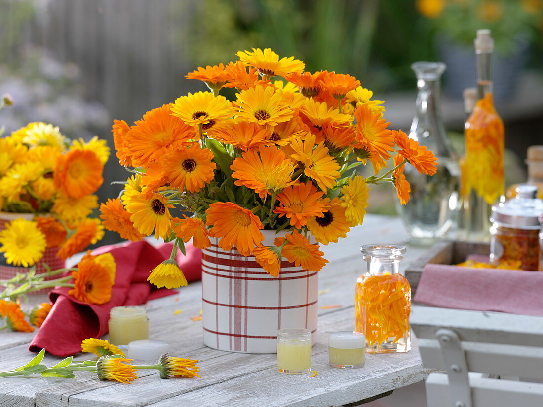 Strauß aus Calendula (Ringelblumen), Blütenblätter in Öl, Ringelblumensalbe