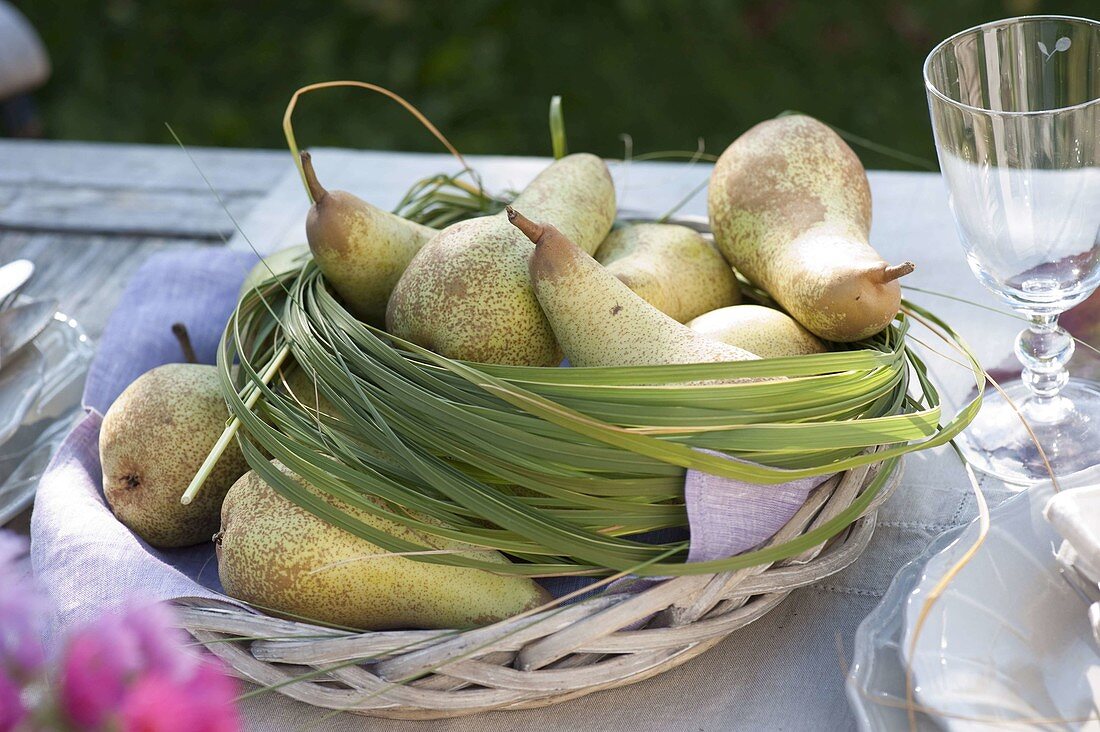 Autumn table decoration with asters and pears