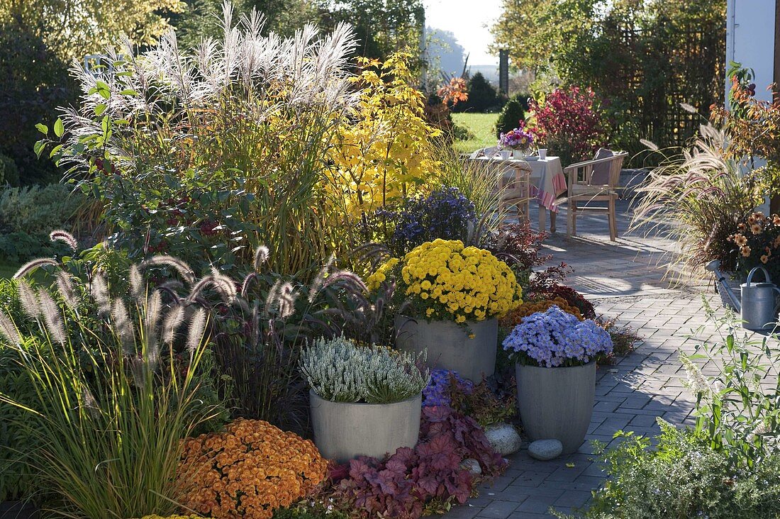 Autumn terrace terrace with planted pots pepped up