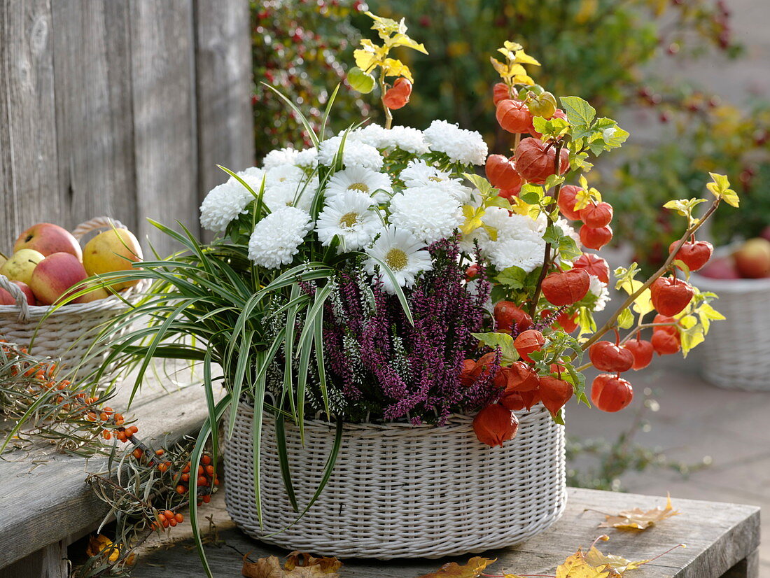 White basket with autumn planting