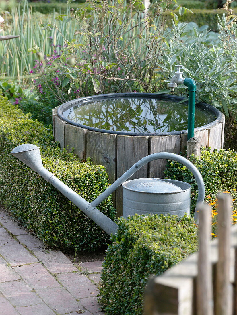 Artist's garden: Water barrel with wooden lining