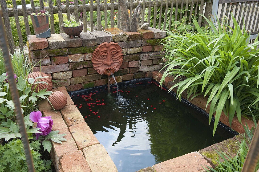 Artist's garden: Water basin with gargoyle