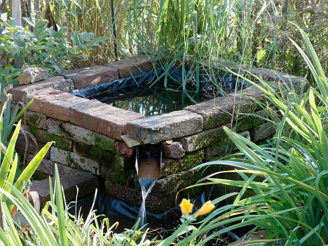 Artist's garden: Water basin and perennials
