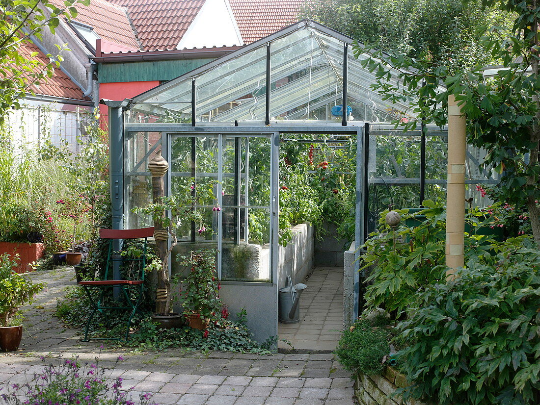 Artist's garden: Greenhouse