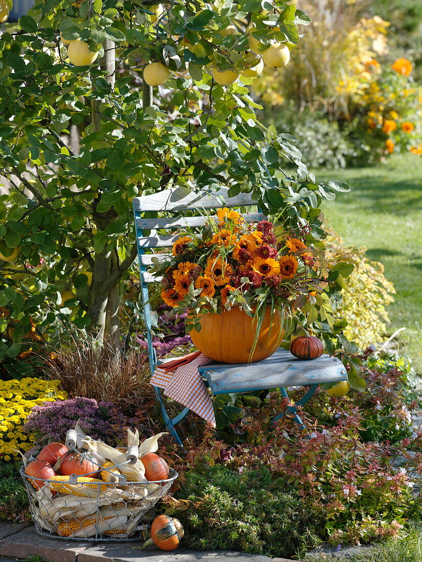 Bouquet in a pumpkin as a vase