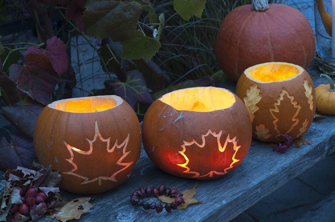 Glowing pumpkins carved with leaf decoration