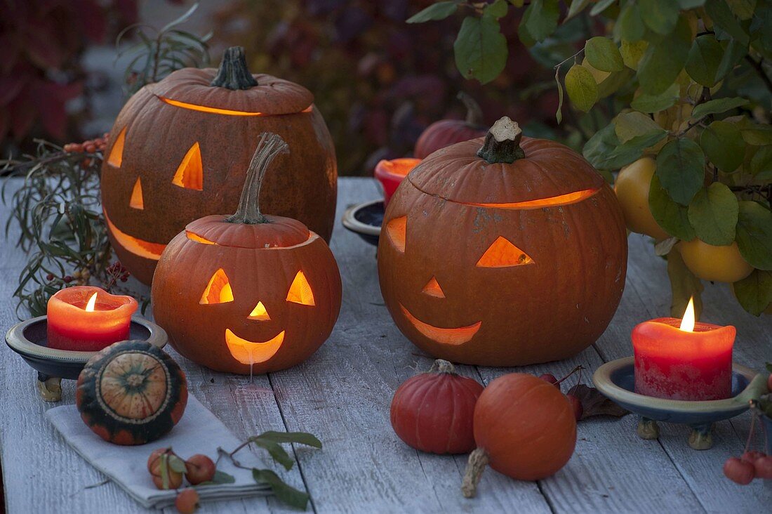 Happy pumpkin heads on wooden table