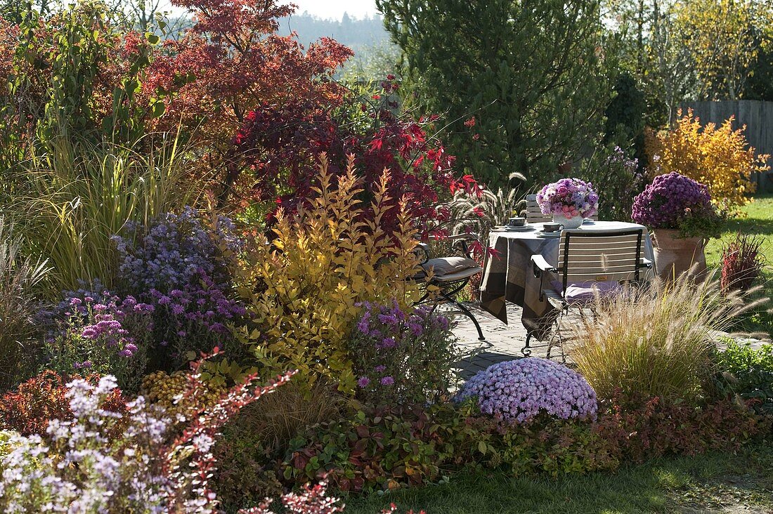 Autumn border with woody plants in autumn colour and perennials
