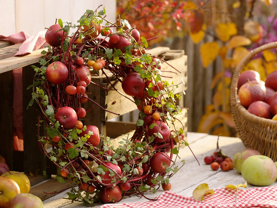 Wreath of Cornus (dogwood branches), Hedera (ivy vines) with apples