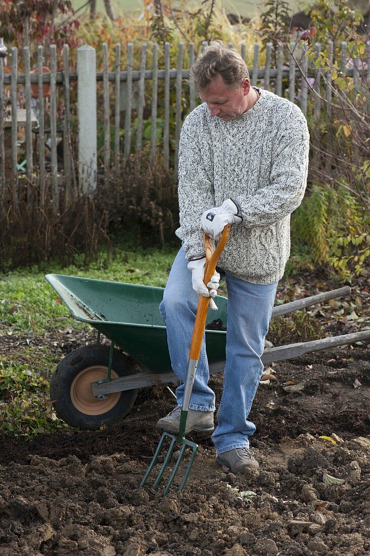 Man digging soil with digging fork, wheelbarrow