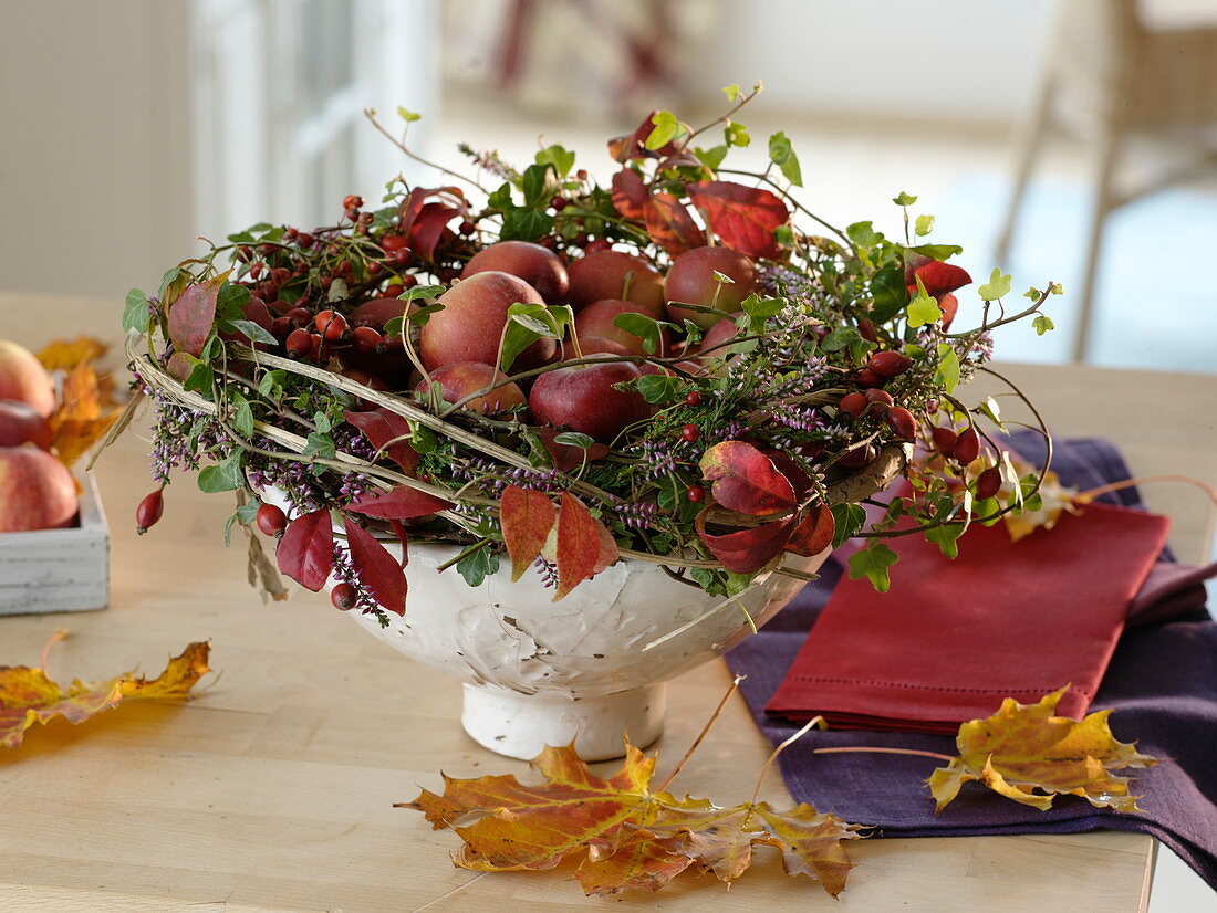 Apples (Malus) in bowls with a wreath of Hedera (ivy), clematis tendrils