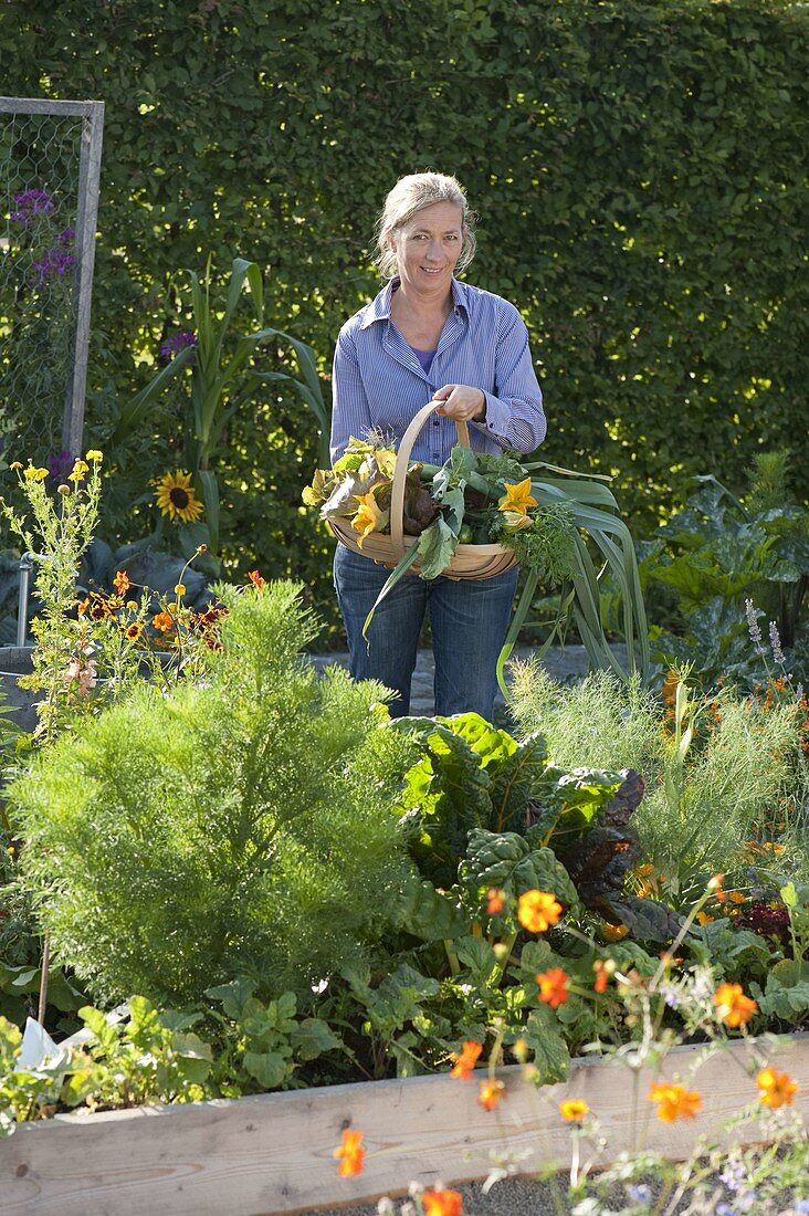 Trapezbeete als Gemüse- und Kräutergarten anlegen