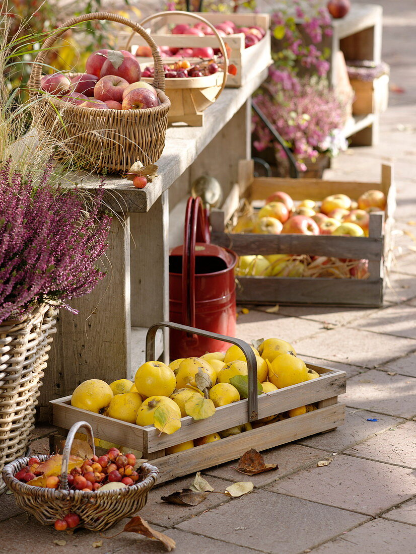 Herbstliche Terrasse mit Früchten
