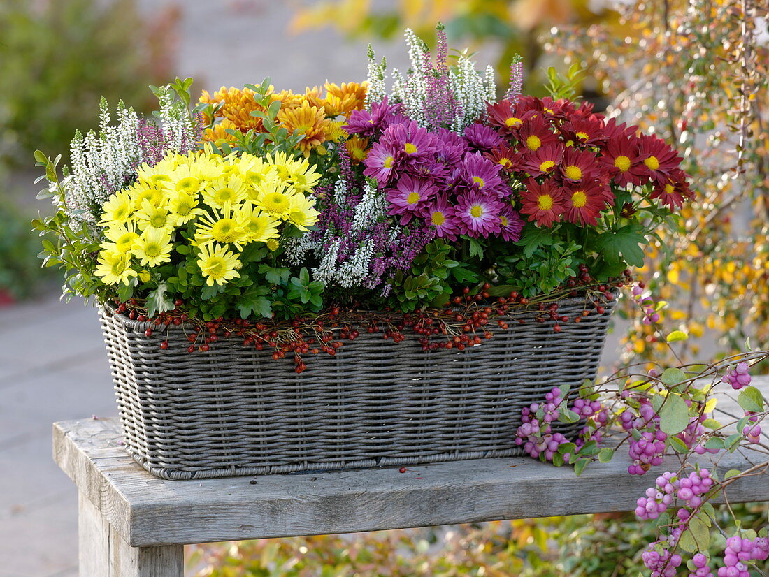 Autumn basket box