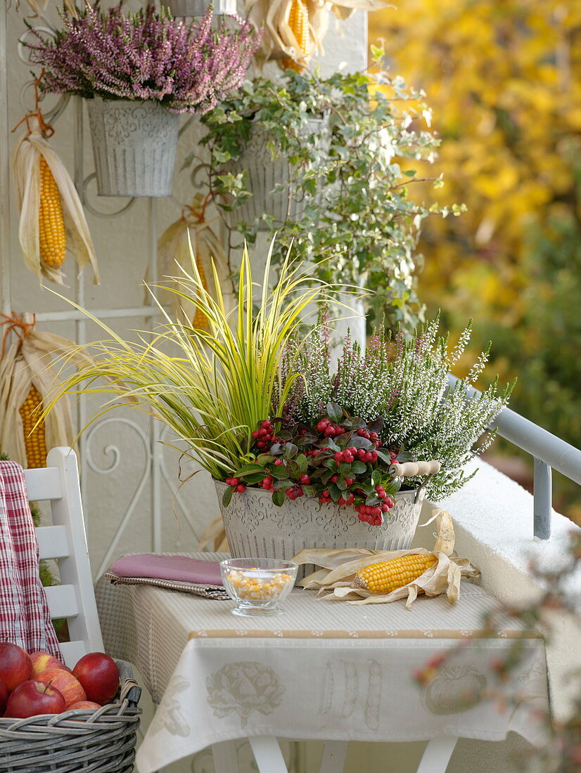 Herbstbalkon mit bepflanzter Jardiniere aus Metall