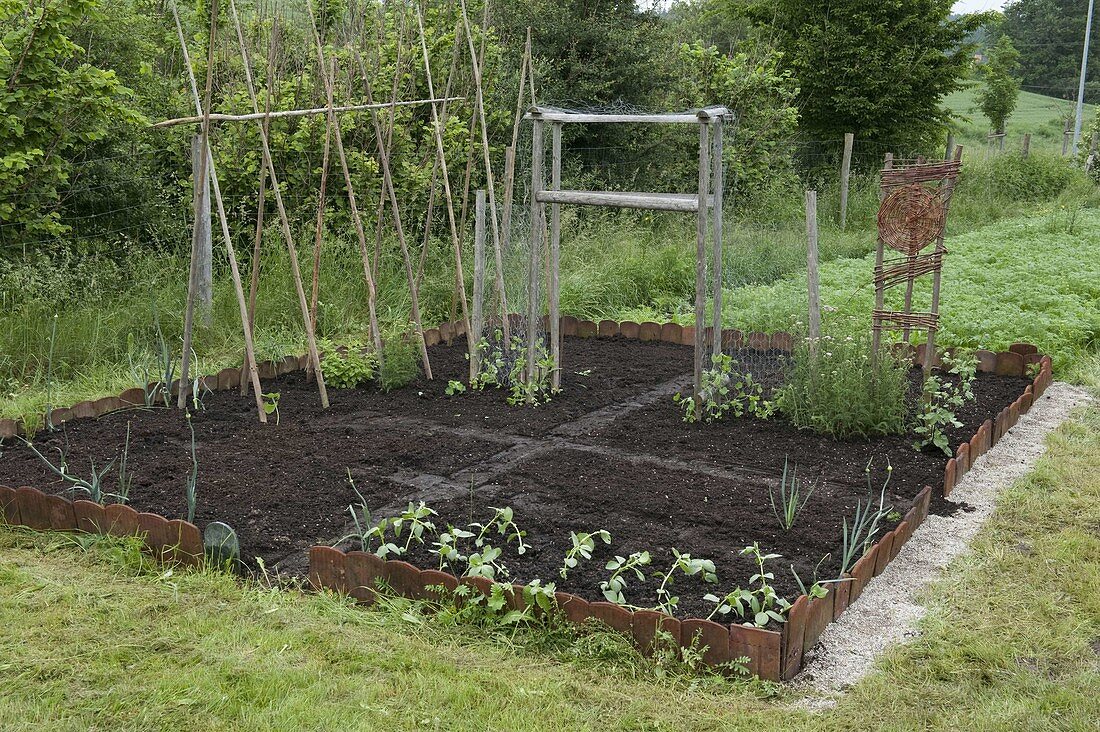 Farm garden through the year, from planting to harvesting