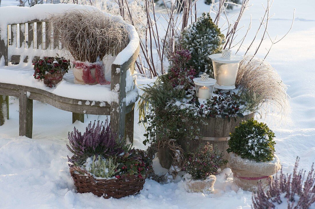 Winter terrace arrangement