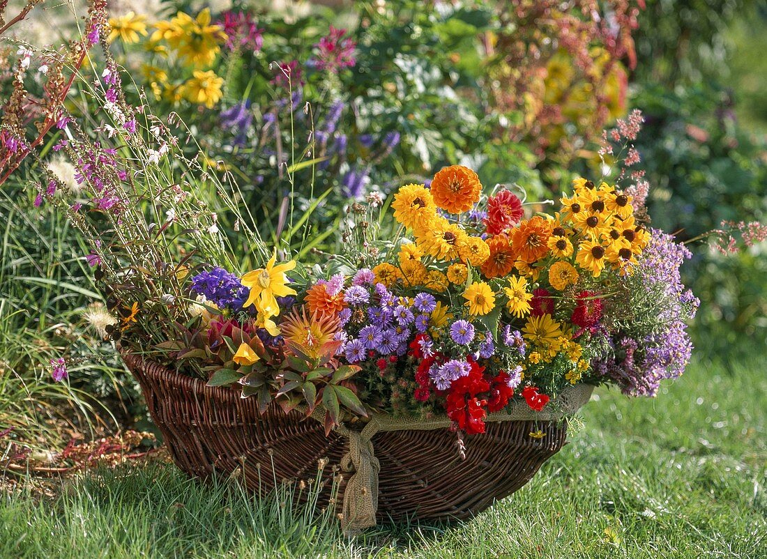 Basket with cut flowers, Rudbeckia (coneflower), Centaurea (cornflower), Anthirrhinum