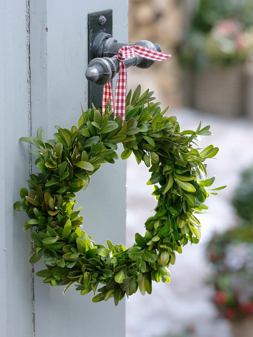 Simple wreath of Buxus (boxwood) hung on a door handle