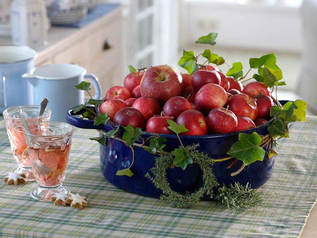 Emaillierter Gänsebräter gefüllt mit Äpfeln (Malus), Hedera