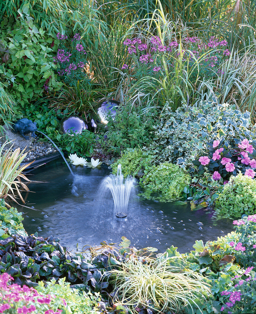 Create a new pond by Heissner:
