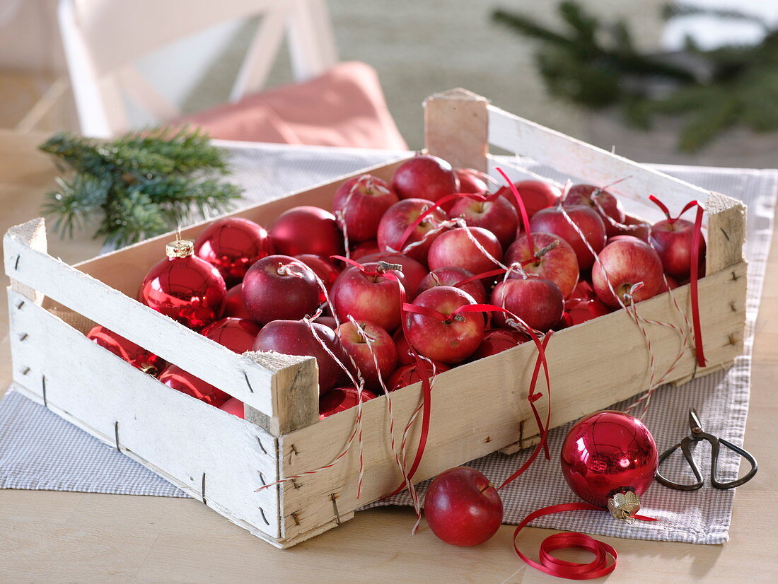 Fruit staircase with red Christmas apples (Malus)