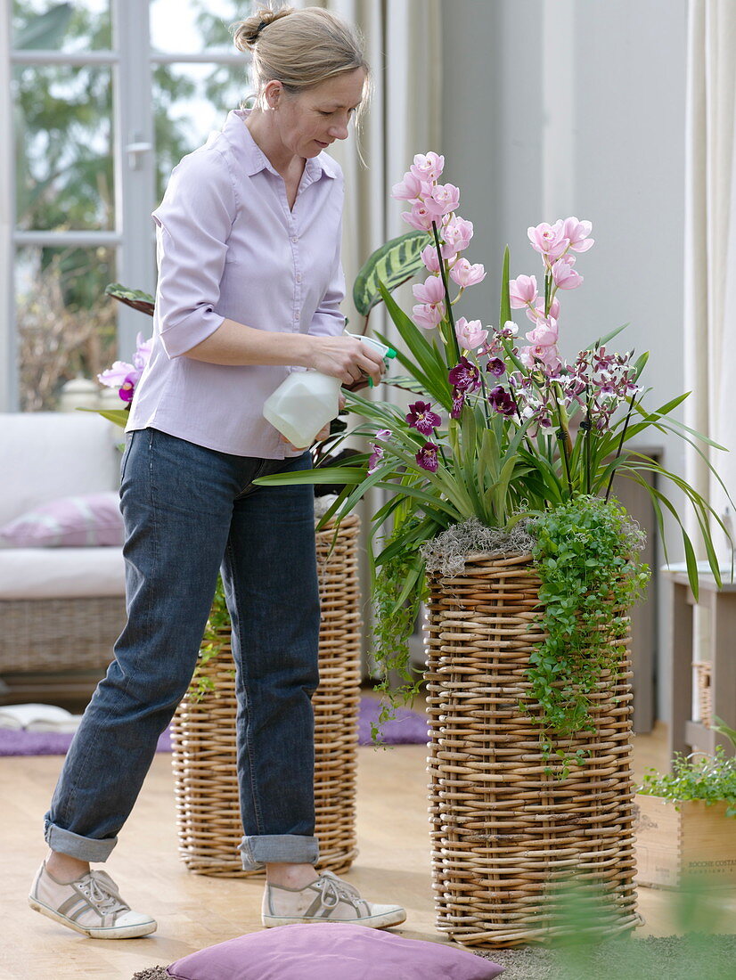 Tall baskets planted with orchids and basket marante