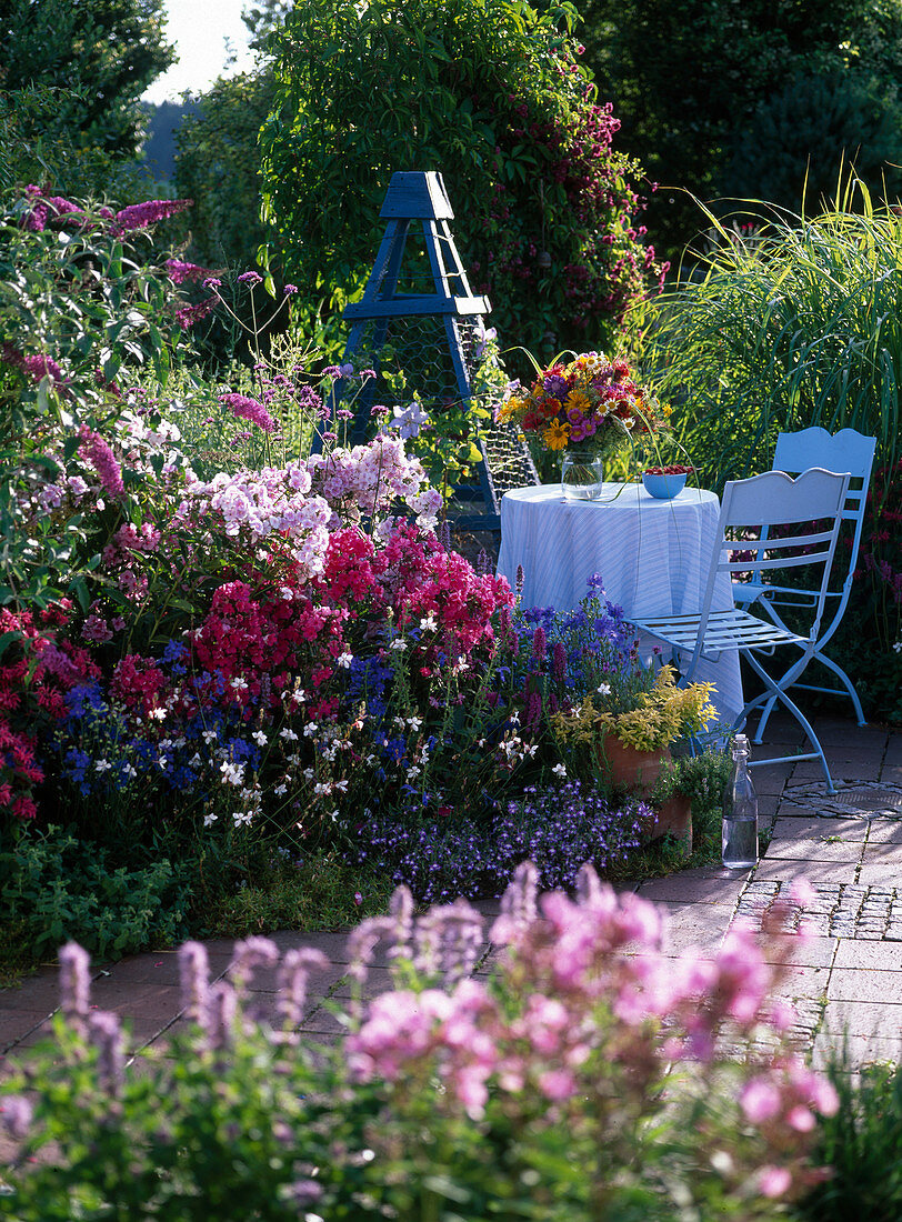 Scented border with Phlox 'Starfire', 'Rosenlicht' (Flame flowers)