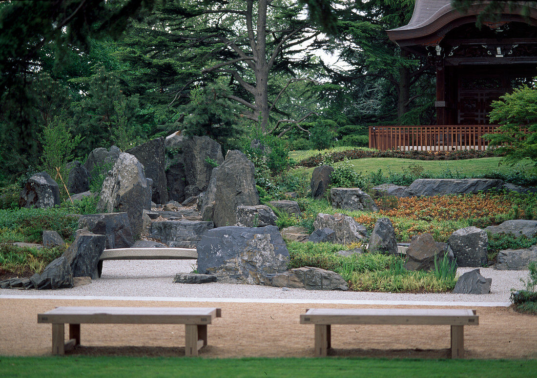 Japanese garden