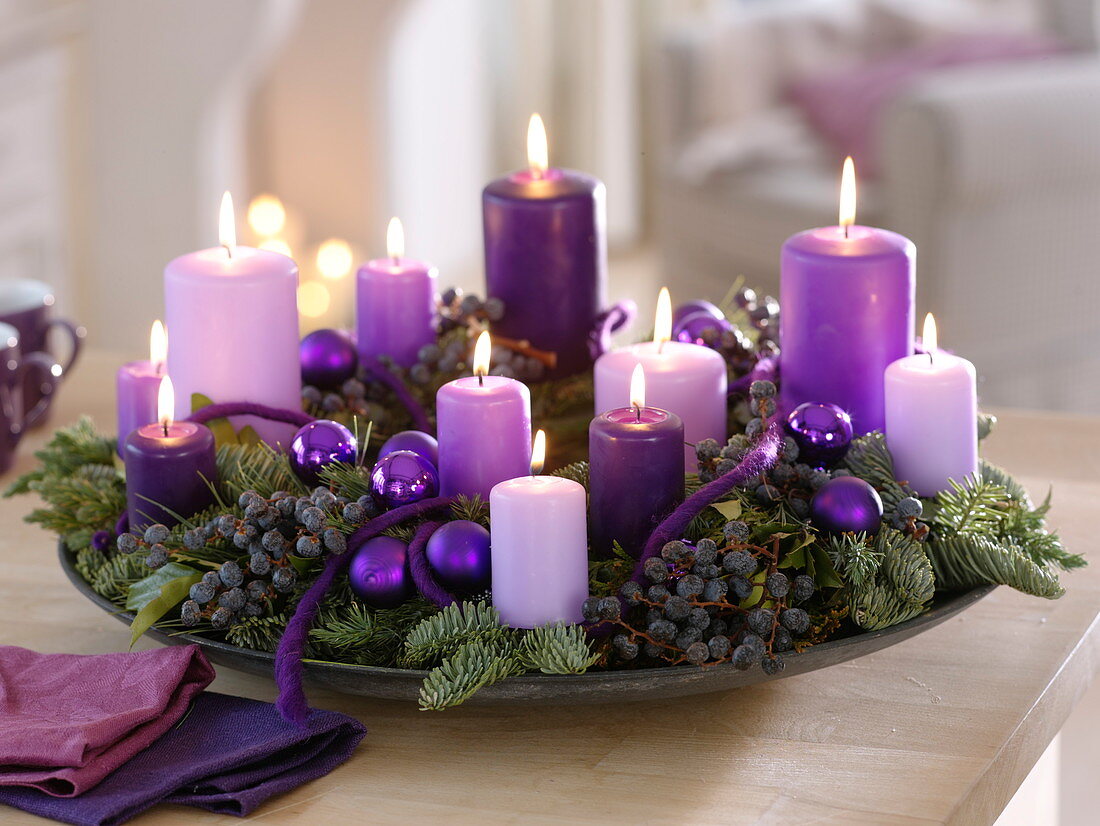 Schale mit violetten Kerzen, Phoenix (Schwarzen Datteln), Abies nobilis