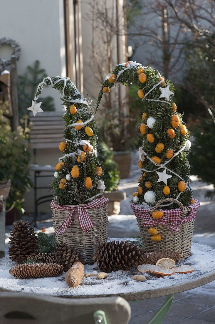 From conifer greenery set trees, decorated with kumquats