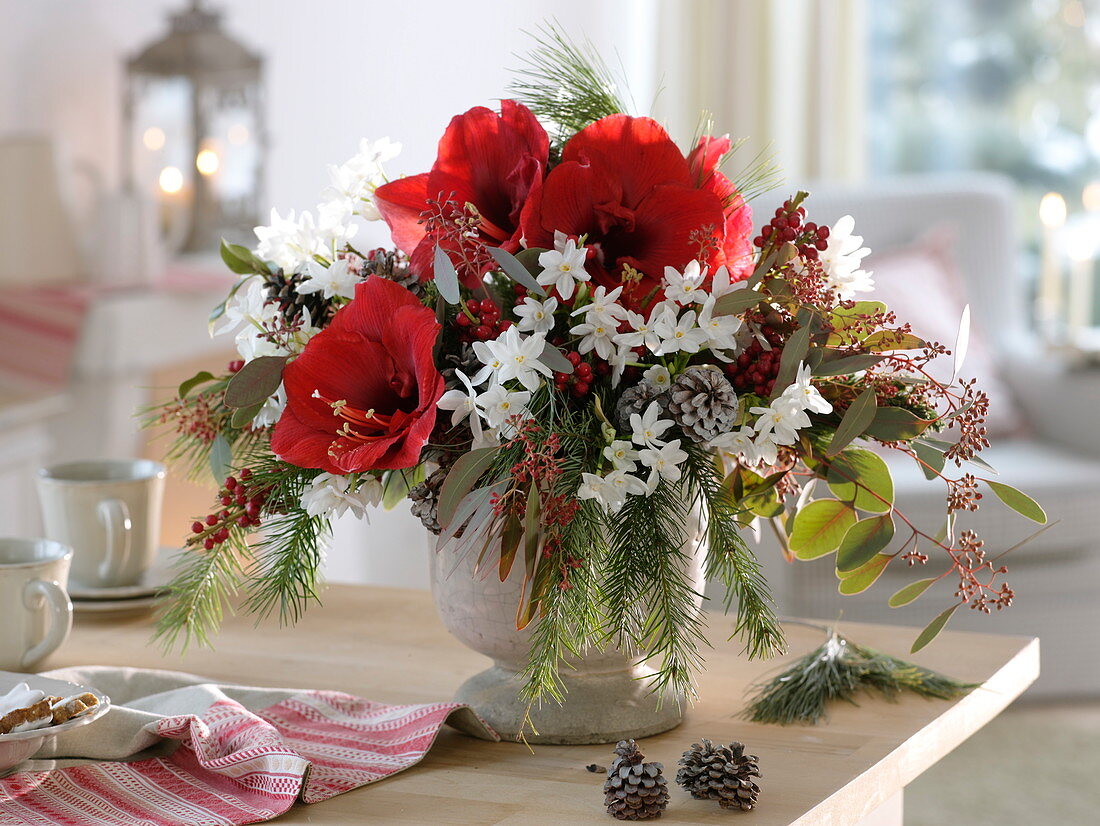 Fragrant winter bouquet with Hippeastrum (Amaryllis), Narcissus 'Ziva'