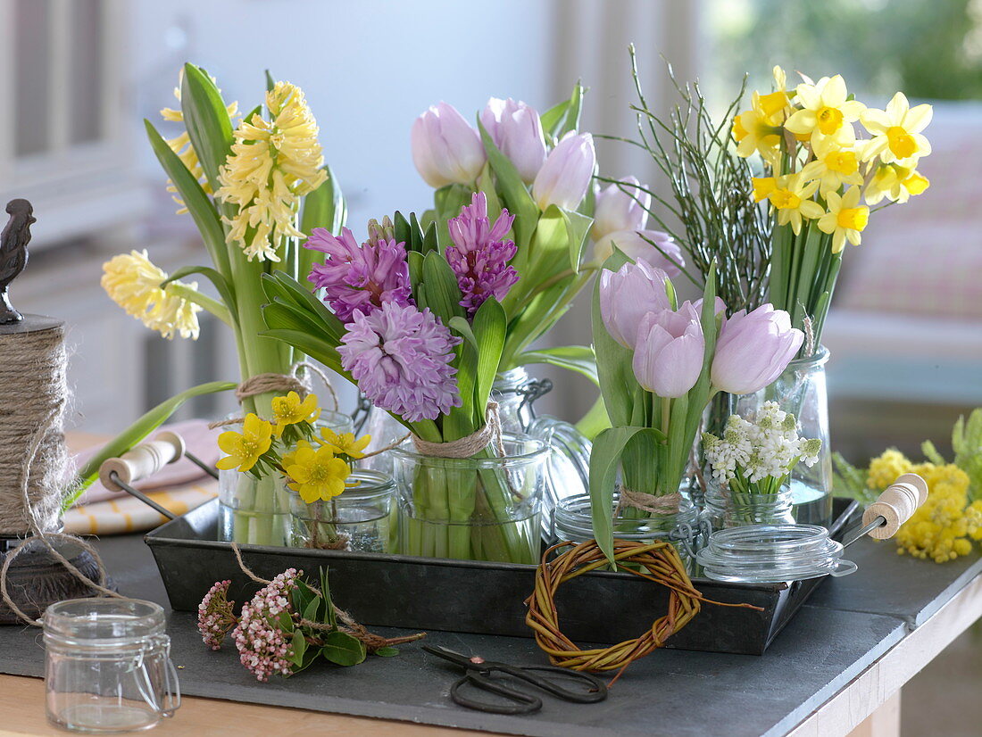 Hyacinthus, Tulipa, Narcissus 'Tete a Tete'