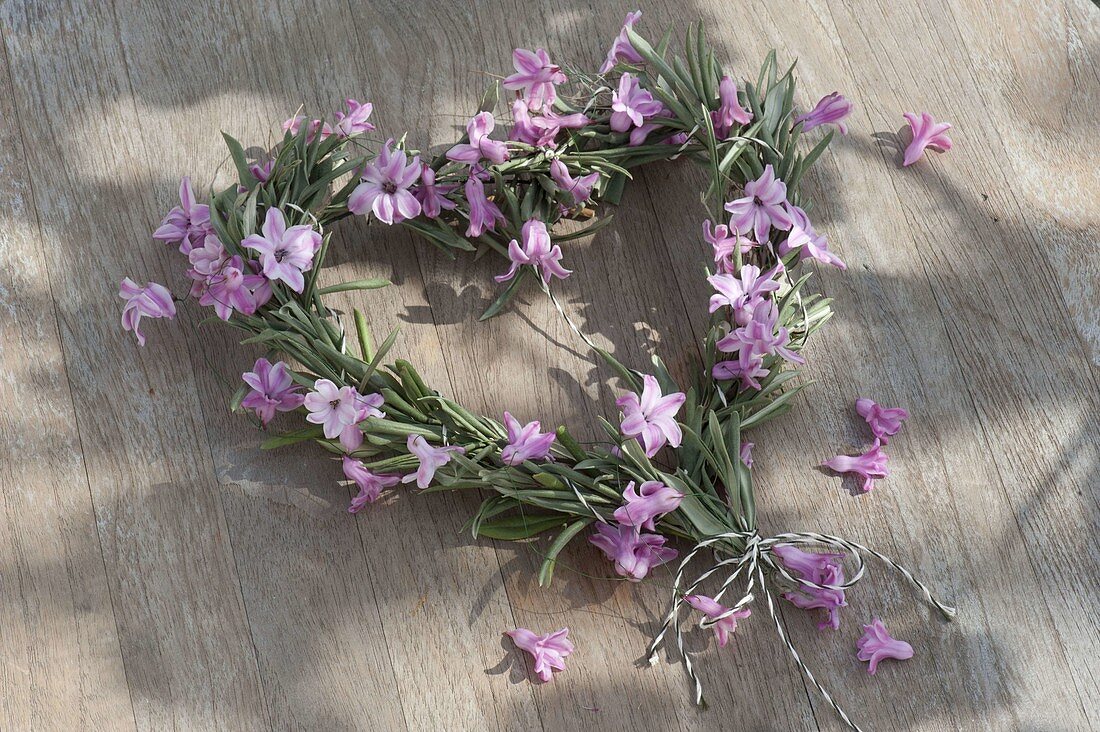 Heart of Olea europaea (olive leaves), Hyacinthus (hyacinth flowers)