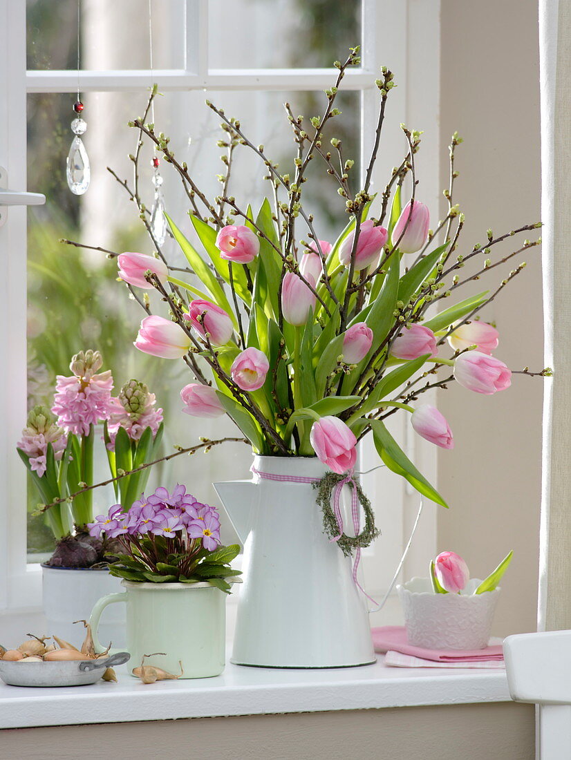 Fenster mit Tulipa 'Dynasty' (Tulpen), Zweige von Prunus (Kirsche)