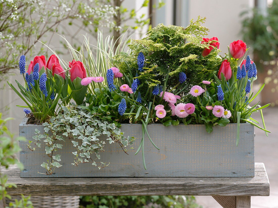 Frau bepflanzt Kasten im Frühling neu 6/6