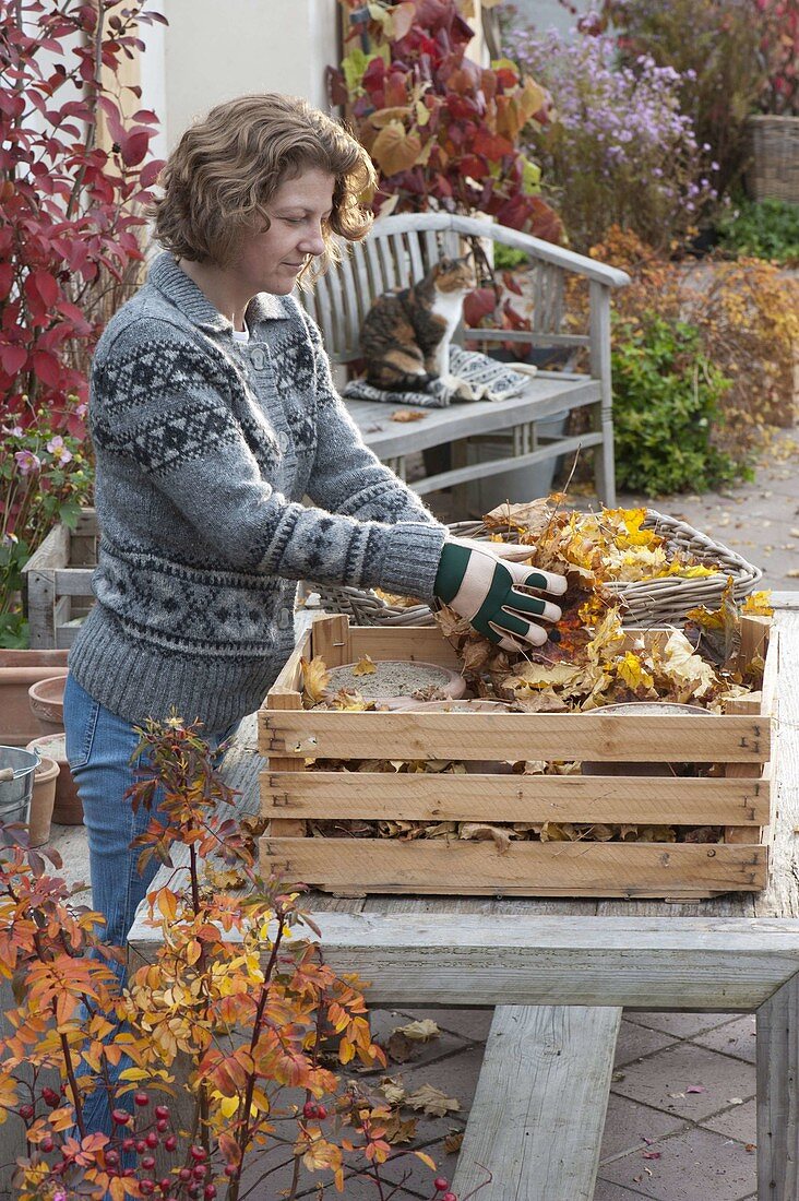 Für bunten Frühlingsflor Zwiebeln im Herbst in Töpfe legen