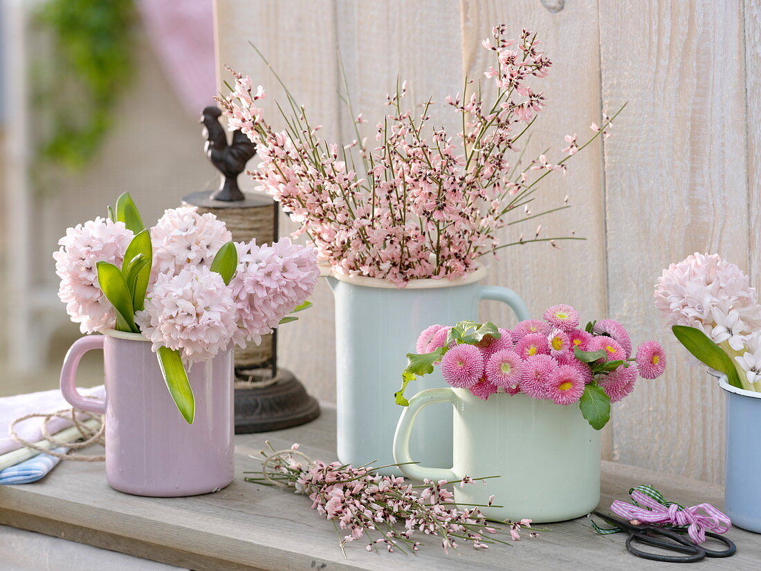 Spring bouquets in enamel tins: Hyacinthus (hyacinths), Cytisus