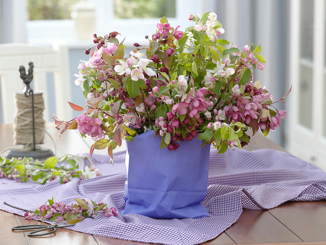 Malus branches with glass put in purple paper bag